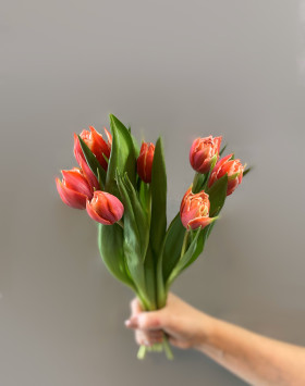 5 ярких пионовидных тюльпанов